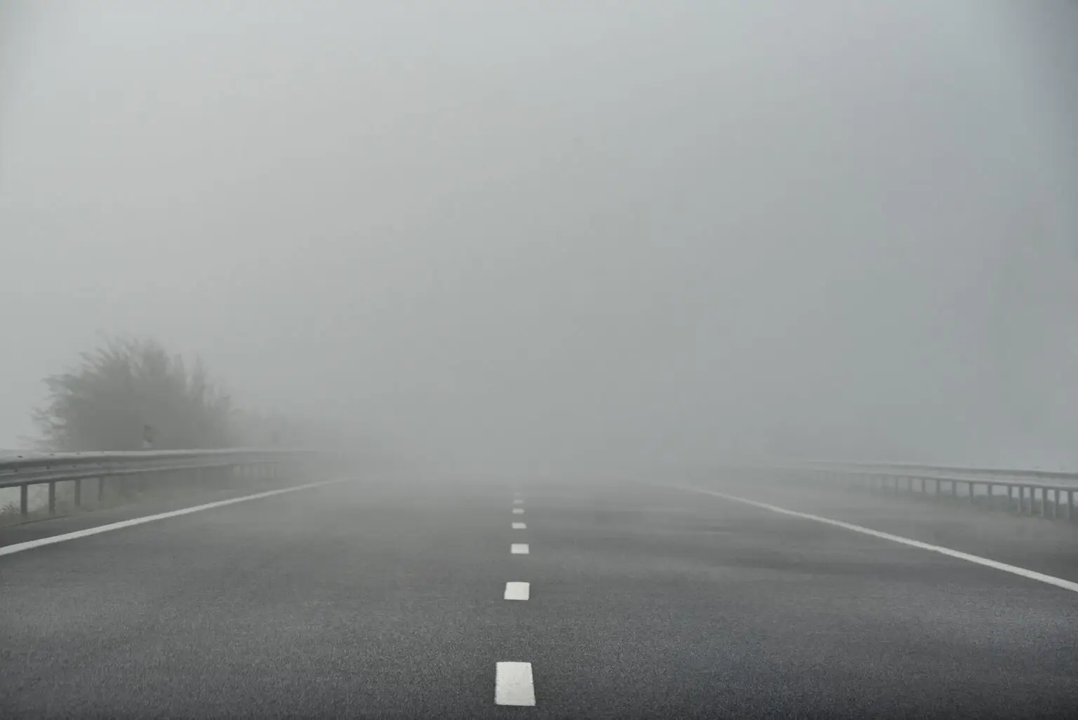 Man killed in foggy Highway 4 collision in Stockton