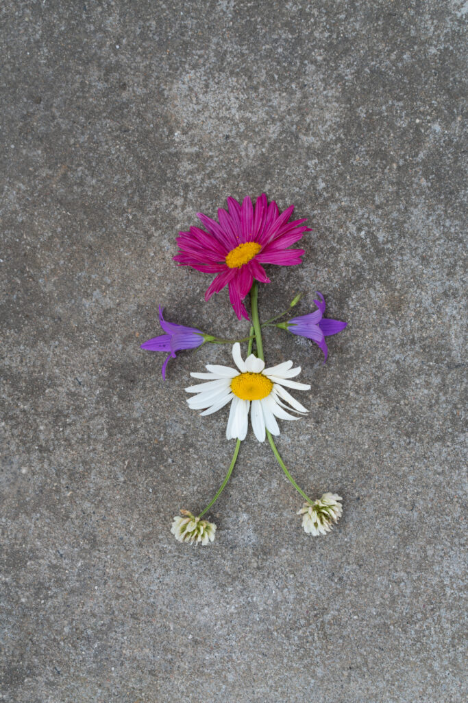 Katharina Heibert Janzen, 21, killed in Joaquin County crash.
