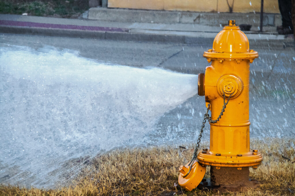 30 Year-old Woman Killed When Vehicle Struck a Fire Hydrant 30 Year-old woman killed when a vehicle struck a fire hydrant